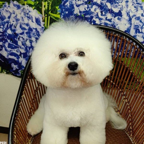 Owenくん