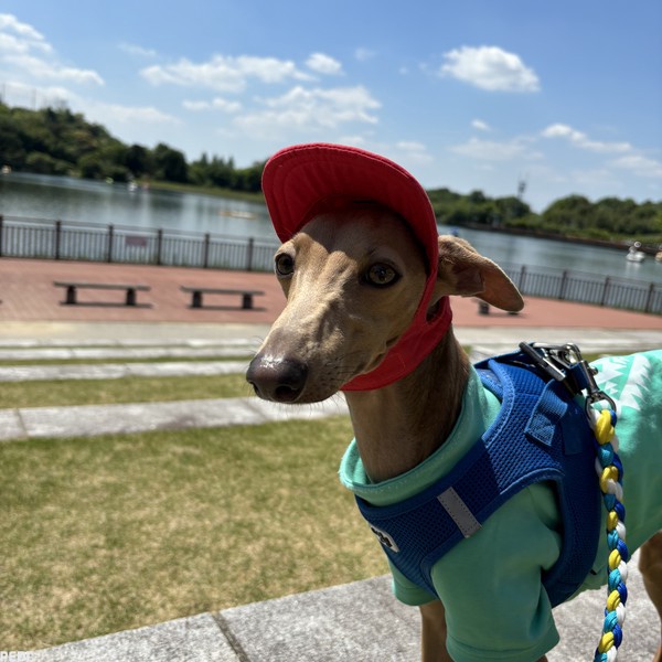 ソランくん