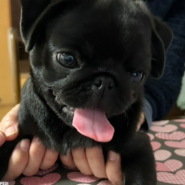 すずちゃん