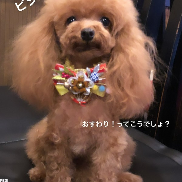 エマちゃん