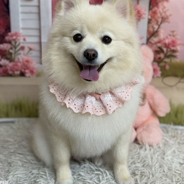 ルーシアちゃん