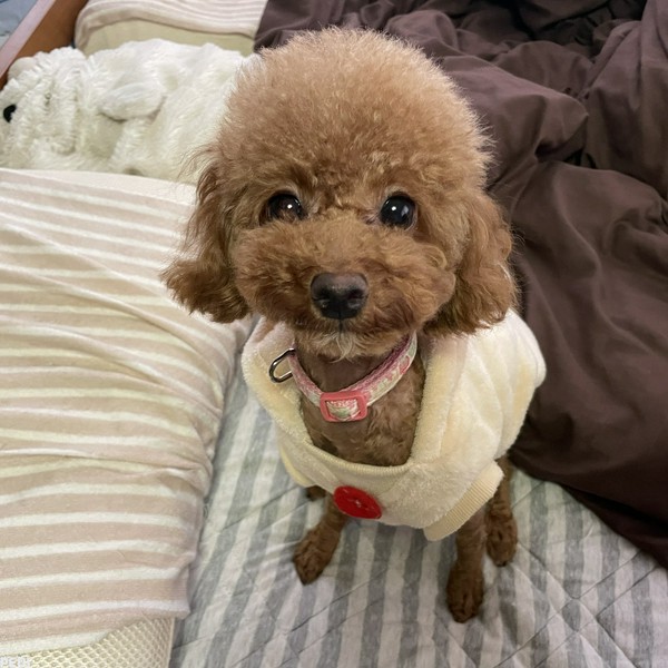 紬ちゃん