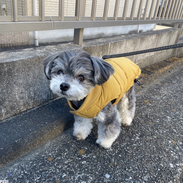 ハルくん
