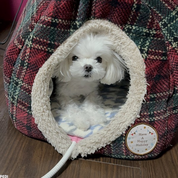 紗雪ちゃん