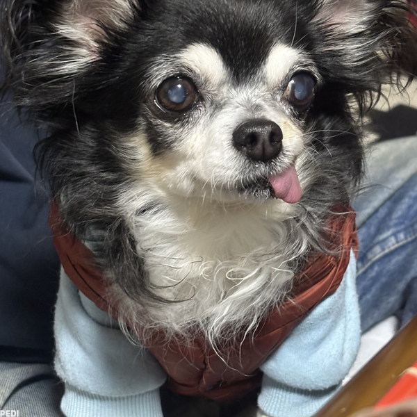 かりんちゃん