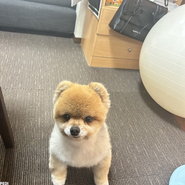 もこちゃん