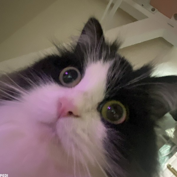 むーくん