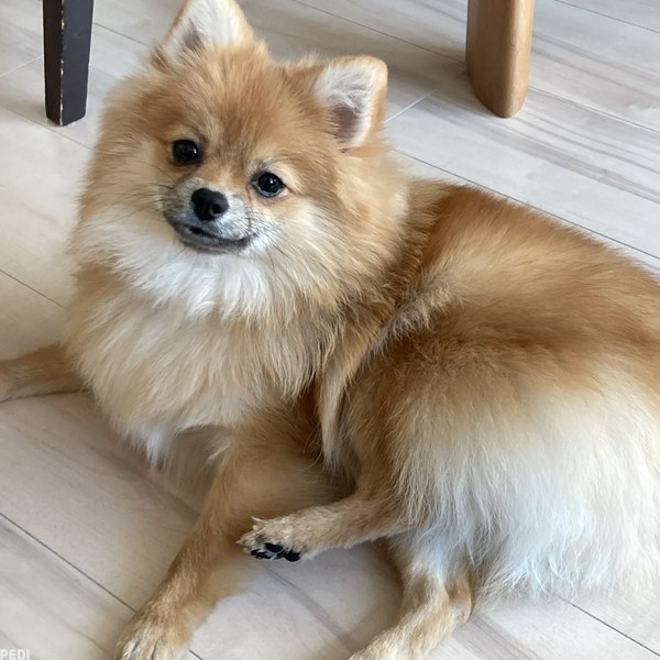 りらちゃん