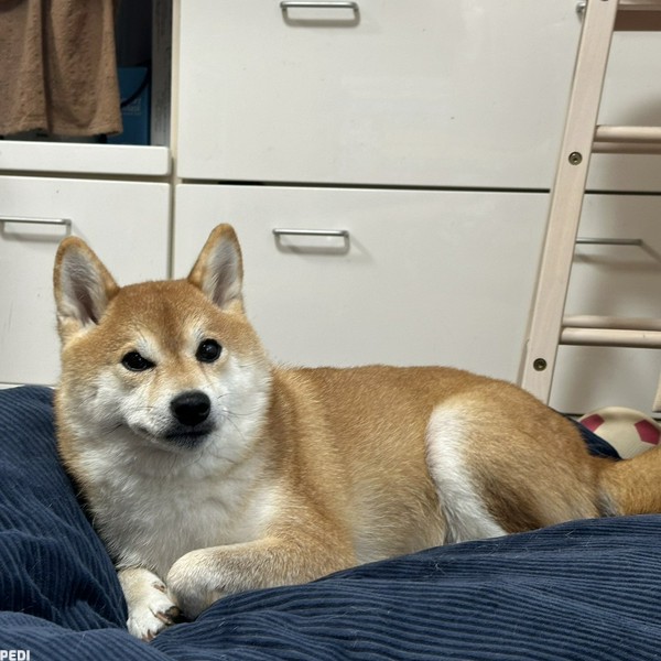 はるちゃん