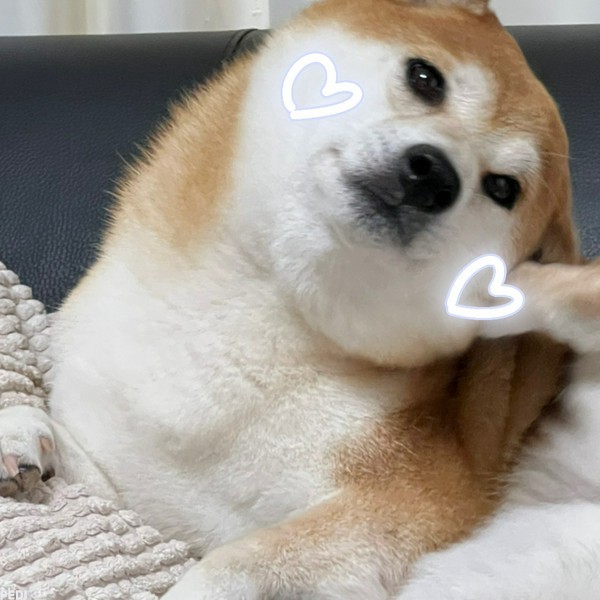 すずちゃん