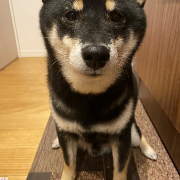 まろくん