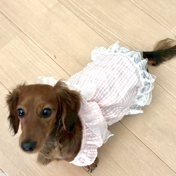 ハッピーちゃん