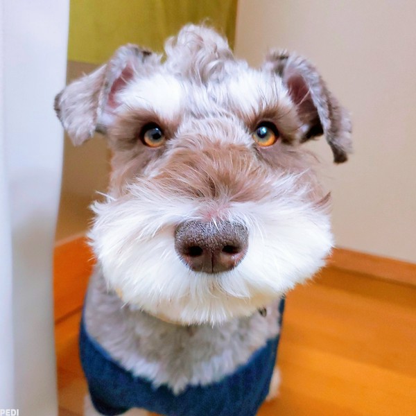 LUKEくん