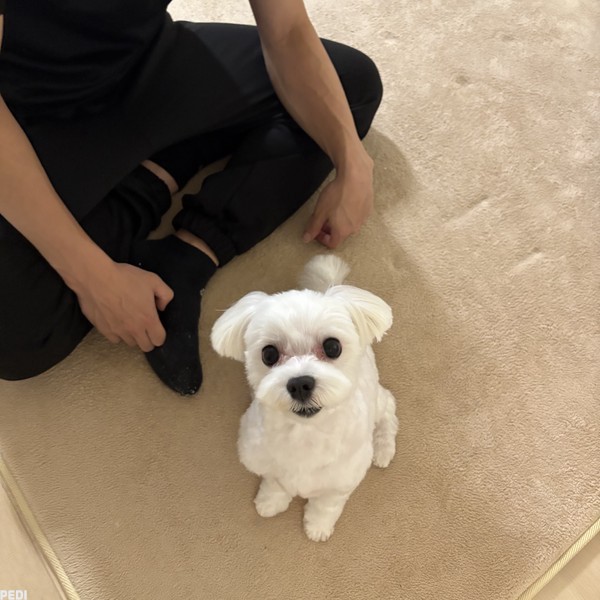 ティノくん
