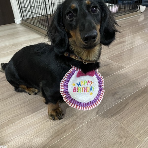 風くん