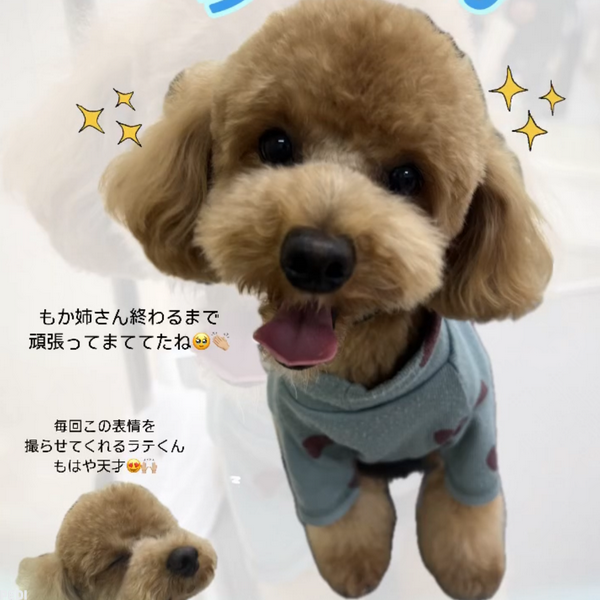 らてくん