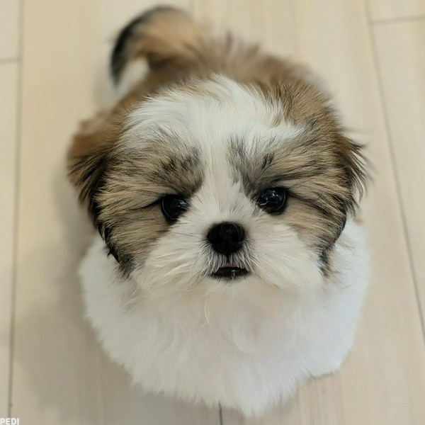 鈴(りん)ちゃん