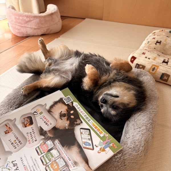ちーちゃん
