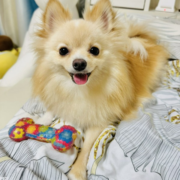 めいちゃん
