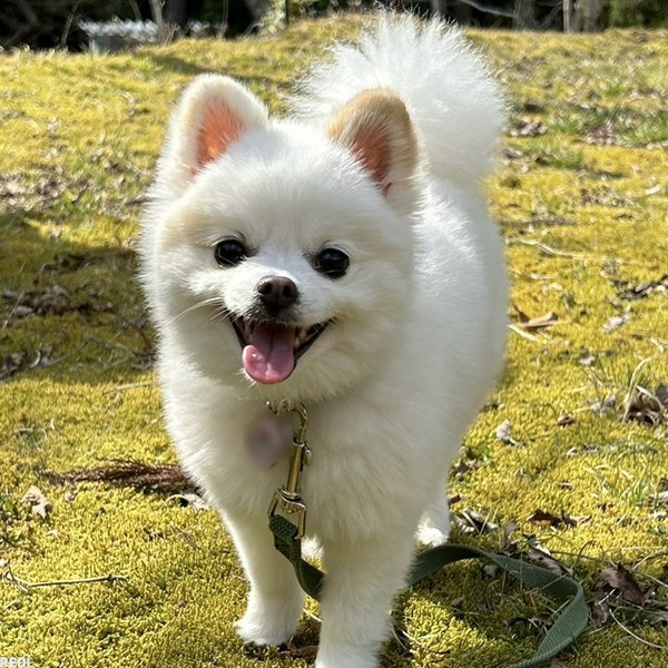 おとちゃん