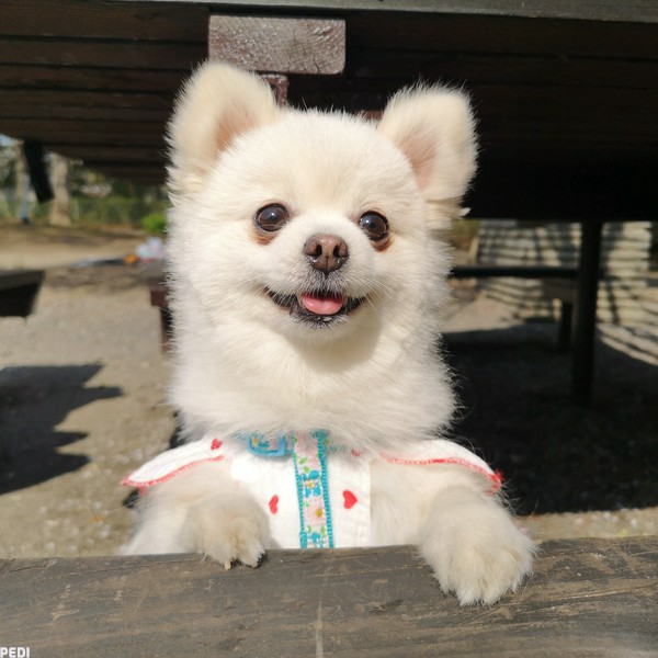 ムーちゃん