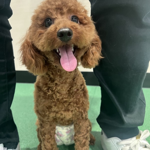 モアちゃん
