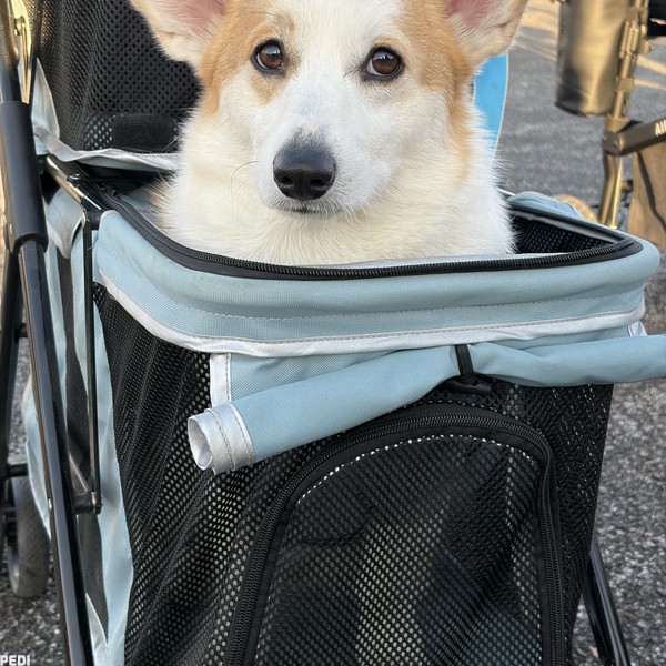 じゃっくくん