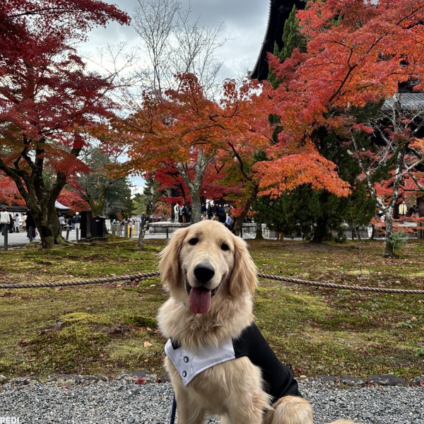 にこくん