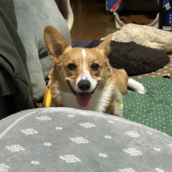 むぎちゃん