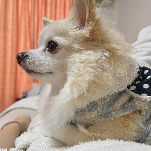 ちろくん