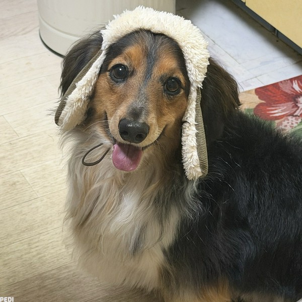 ジャックくん