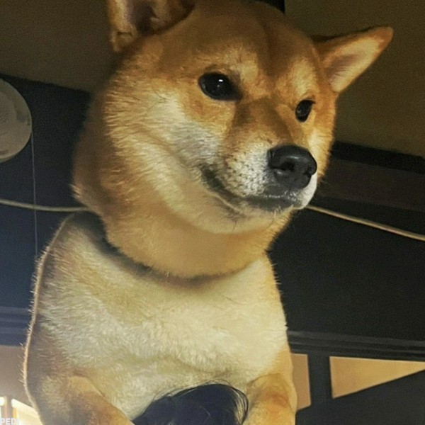 ぺいすけくん