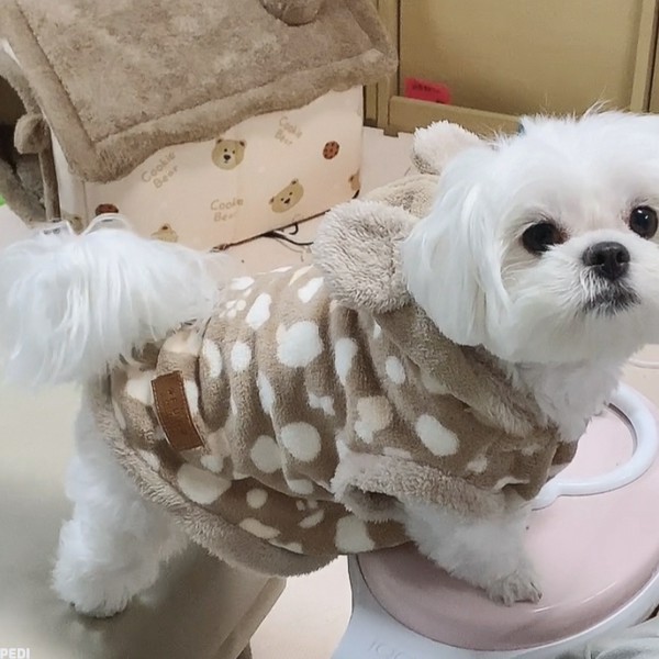 みるくちゃん
