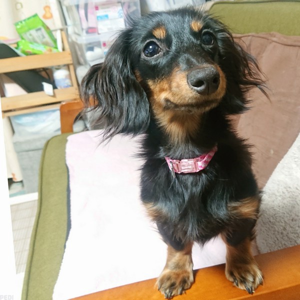 つむぎちゃん