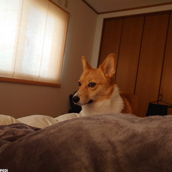 琥太郎くん