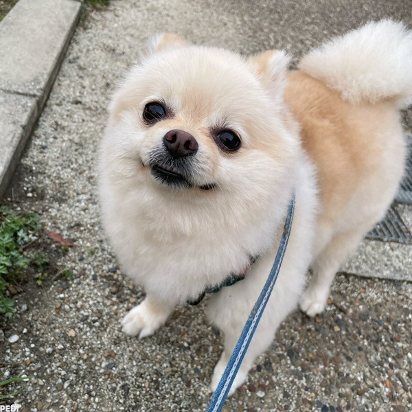 タムくん