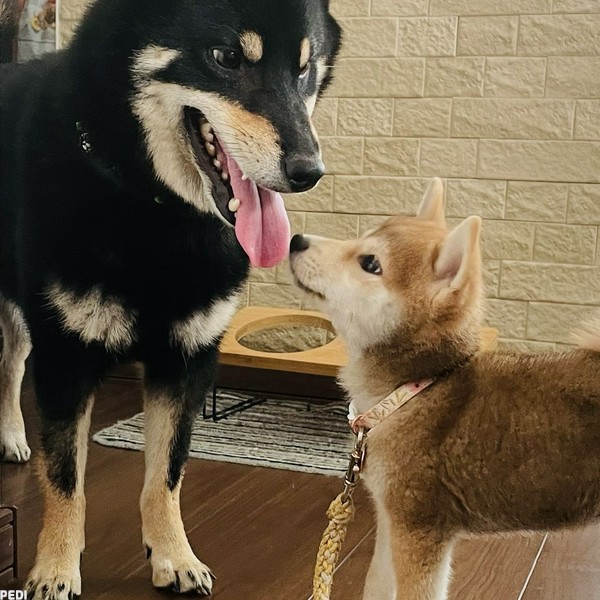 Luckyくん