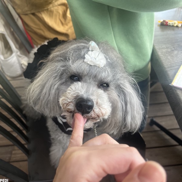ちゅ〜るちゃん
