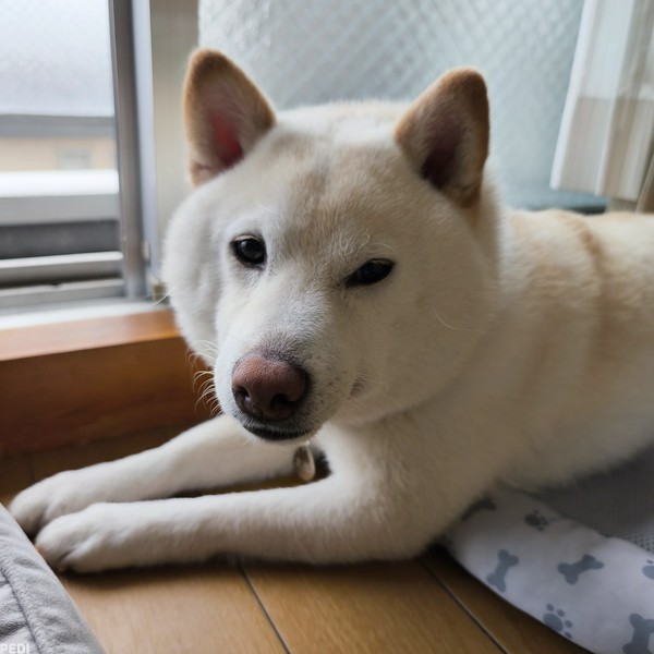 太郎くん