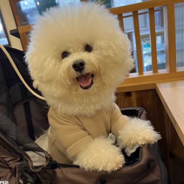 おこめくん