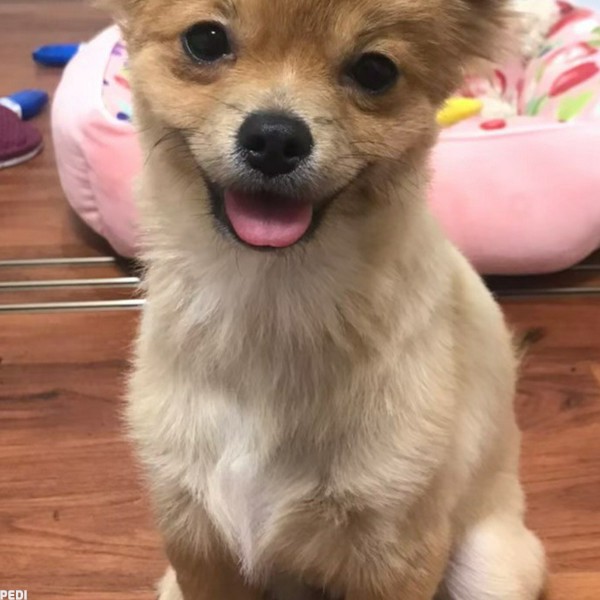 みかんちゃん