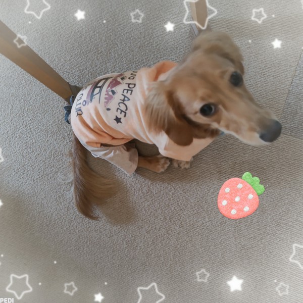 ナナちゃん