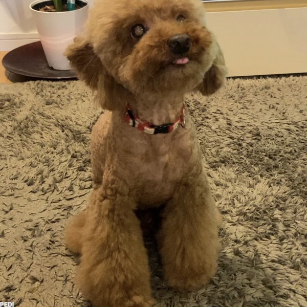 ラキくん