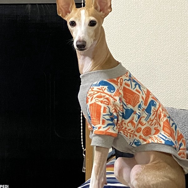 ナツちゃん