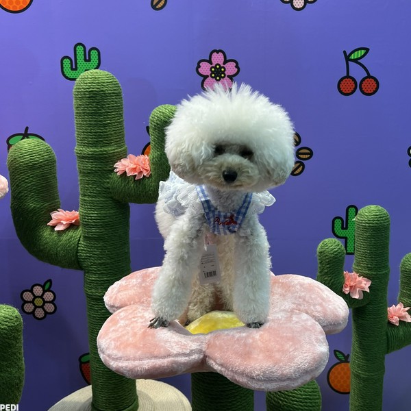 lou louちゃん