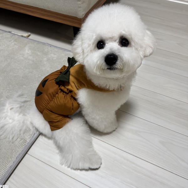 にこくん