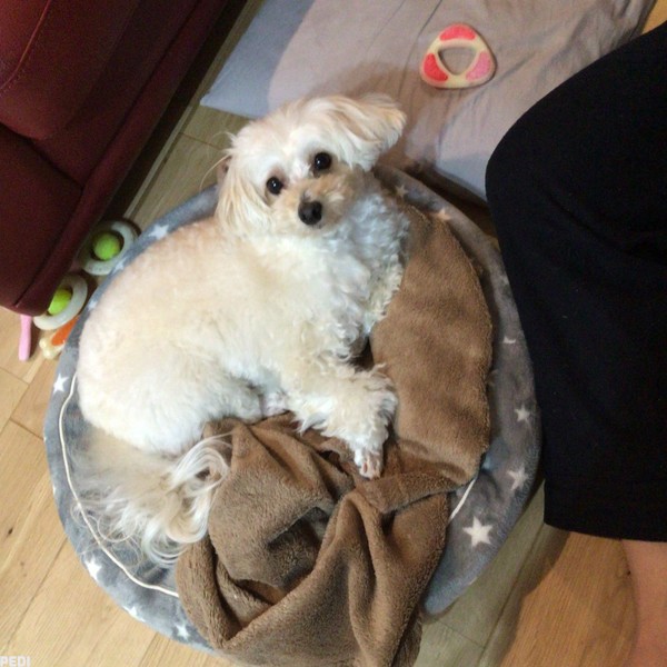さくらちゃん