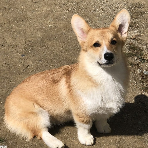 ANDYくん