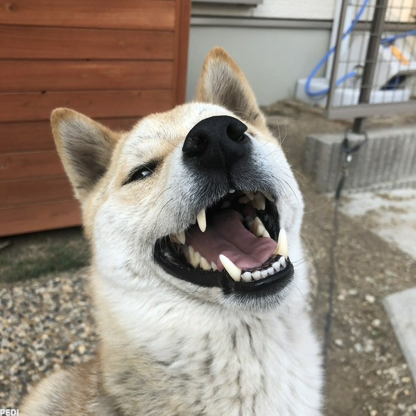 テツくん