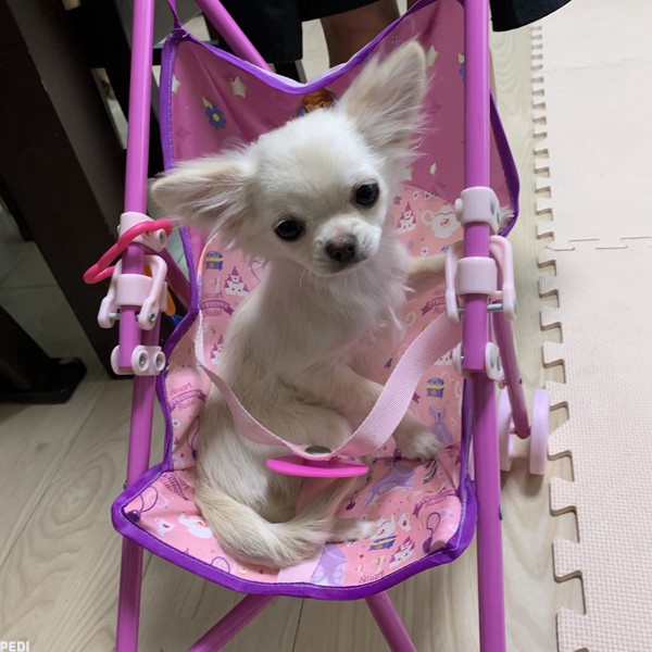 れなちゃん